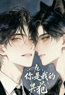 你是我的共犯 封面