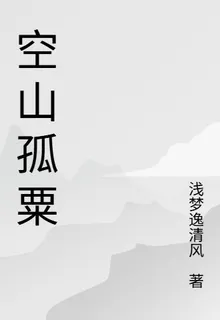 空山孤粟 封面