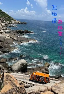 左心房右心室 封面