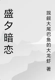 盛夕暗戀 封面