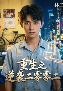 林二那些事 封面