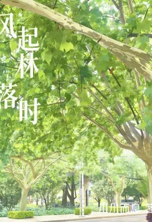 風起林落時 封面