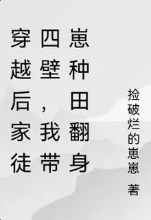 穿越後家徒四壁，我帶崽種田翻身 封面