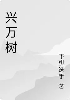 興萬樹 封面