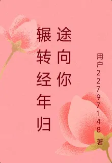 輾轉經年歸途向你 封面