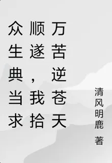衆生典當求順遂，我拾萬苦逆蒼天 封面