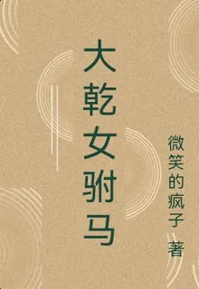 大乾女駙馬 封面