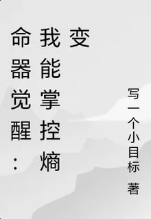 熵主 封面
