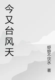 今又颱風天 封面