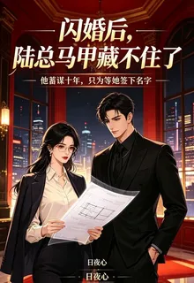 閃婚後，陸總馬甲藏不住了 封面