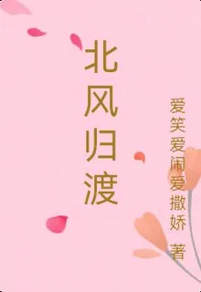 北風歸渡 封面