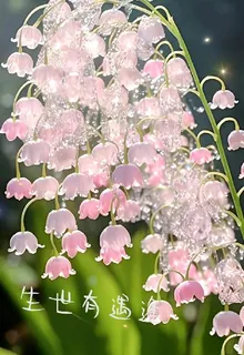 生世有遇逢 封面