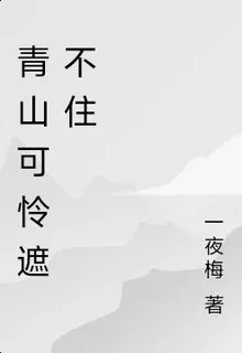 青山可憐遮不住 封面
