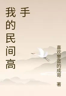 我的民間高手 封面