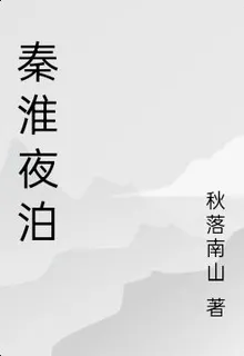 秦淮夜泊 封面