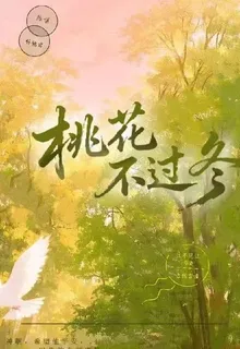 桃花不過冬 封面