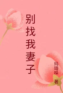 別找我妻子 封面