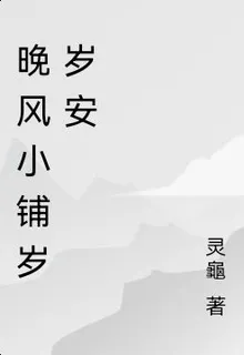 晚風小鋪歲歲安 封面