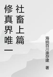 修真界唯一社畜上篇 封面