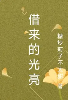 借來的光亮 封面