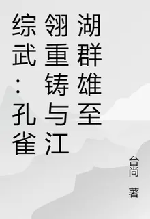 綜武：孔雀翎重鑄與江湖羣雄至 封面