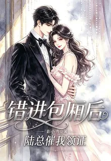 錯進包廂後，陸總催我領證 封面