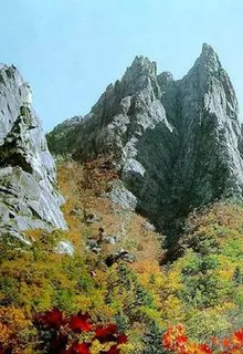 易命術全章 封面