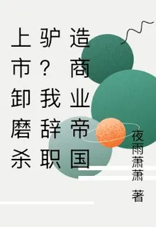 上市卸磨殺驢？我辭職造商業帝國 封面