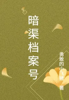暗渠檔案號 封面