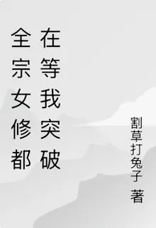 全宗女修都在等我突破 封面