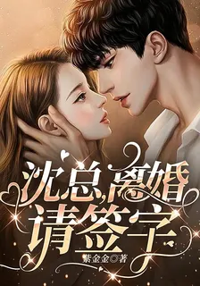 沈總，離婚請簽字 封面