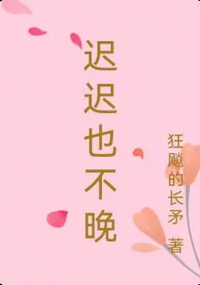 遲遲也不晚 封面