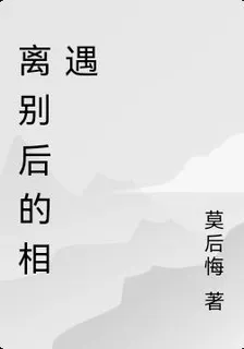 離別後的相遇 封面