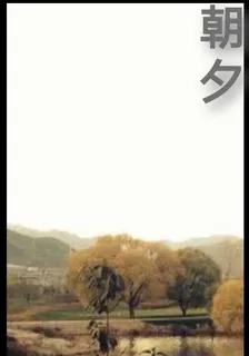 朝夕 封面