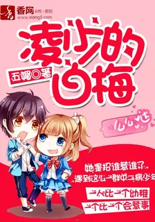 凌少的白梅 封面