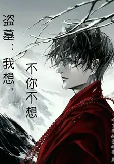 盜墓：我想，不你不想 封面