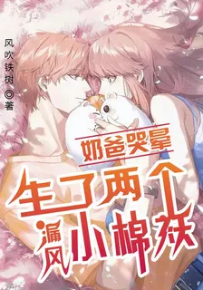 生了兩個漏風小棉襖，奶爸哭暈 封面