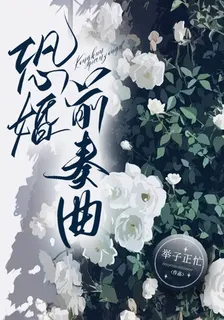 恐婚前奏曲 封面