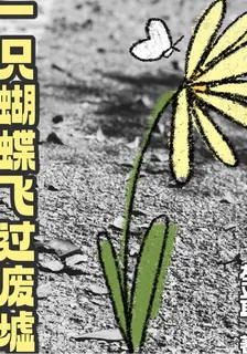 一隻蝴蝶飛過廢墟 封面