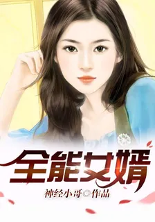 全能女婿 封面