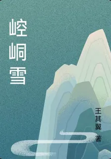 崆峒雪 封面