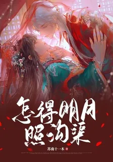 怎得明月照溝渠 封面
