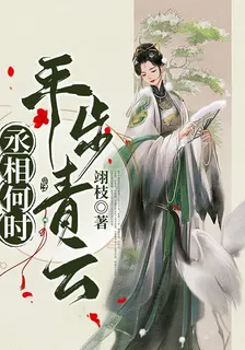 丞相何時平步青雲 封面