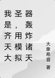 我是齊天大聖，用模擬器轟炸諸天 封面