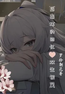 後崩壞的回憶【雙生銀翼】 封面