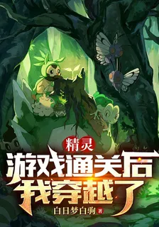精靈：遊戲通關後我穿越了 封面