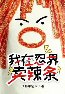 我在忍界賣辣條 封面