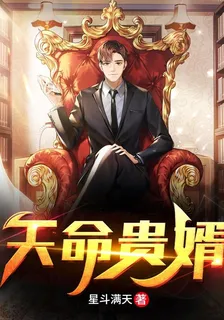 天命貴婿 封面