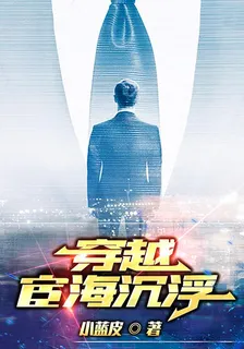 穿越：宦海沉浮 封面