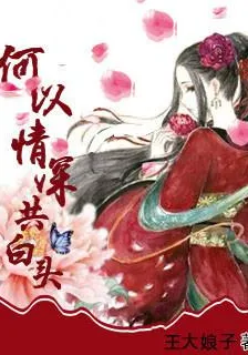 何以情深共白頭 封面